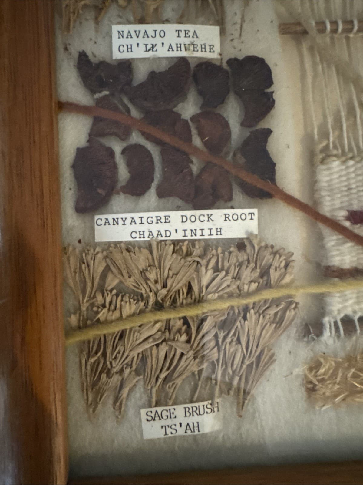 NAVAJO PLANT YARN DYE CHART 8 PLANTS LOOM RUG WEAVING NATIVE AMERICAN ART VTG 3