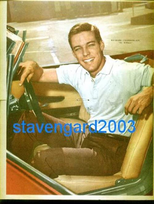 RICHARD CHAMBERLAIN  Dr. James Kildare  POSTER Arg 60 's