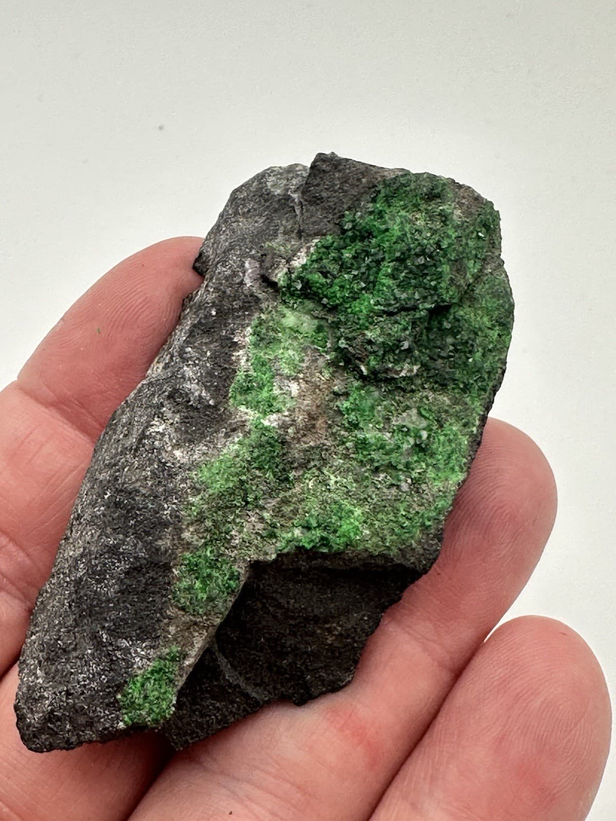 68g 2.25"x1" RARE Green Uvarovite Garnet Crystals on Matrix Mineral Specimen 5