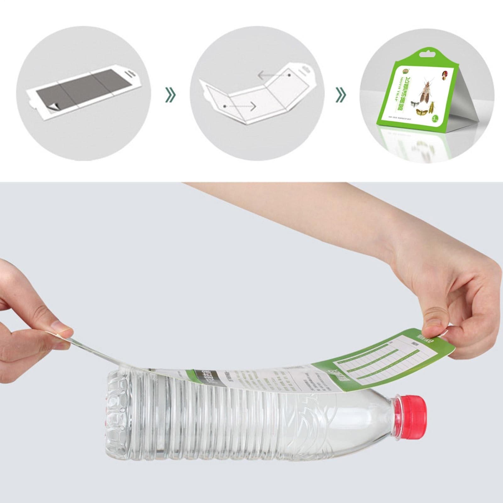 Clothes And Pantry Moth Traps Hybridized Natural Pheromone Safe Covered 5 Pack 6