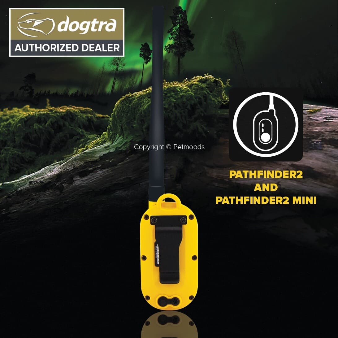 Dogtra Pathfinder2 GPS Connector Transmitter and Handheld Pathfinder2 Mini GPS 6
