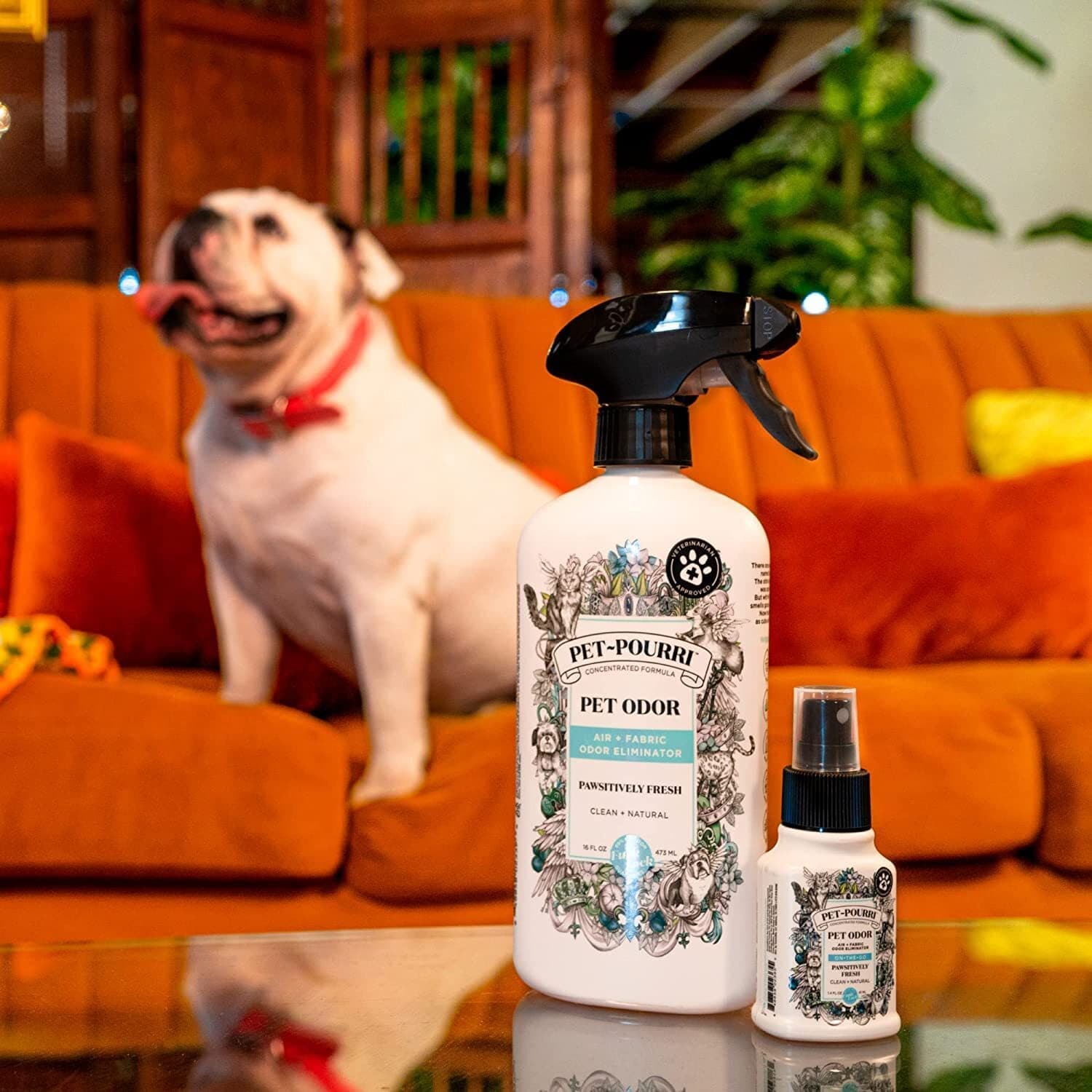 Pet-Pourri Pet Odor Air + Fabric Odor Freshener Spray, Pawsitively Fresh, 16 Fl 4