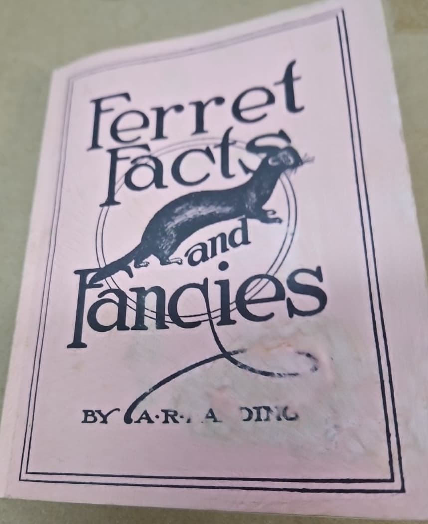 Ferret Facts And Fancies A. R. Harding 1943 Raising Handling Selling 4