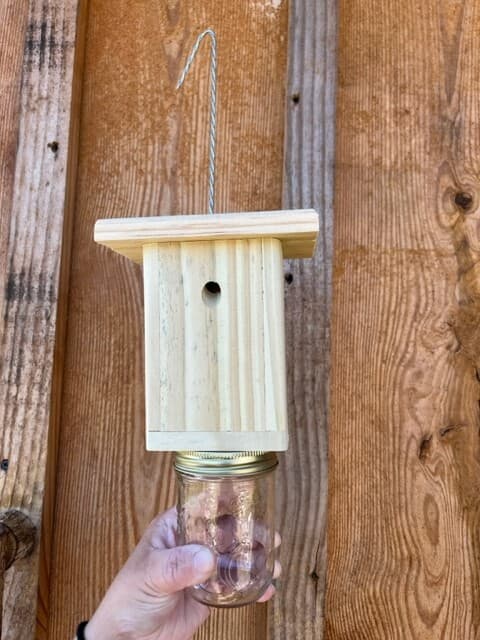 Best Carpenter Bee Trap - Patented Carpenter Bee Trap - Set of 6  Free Shipping 2
