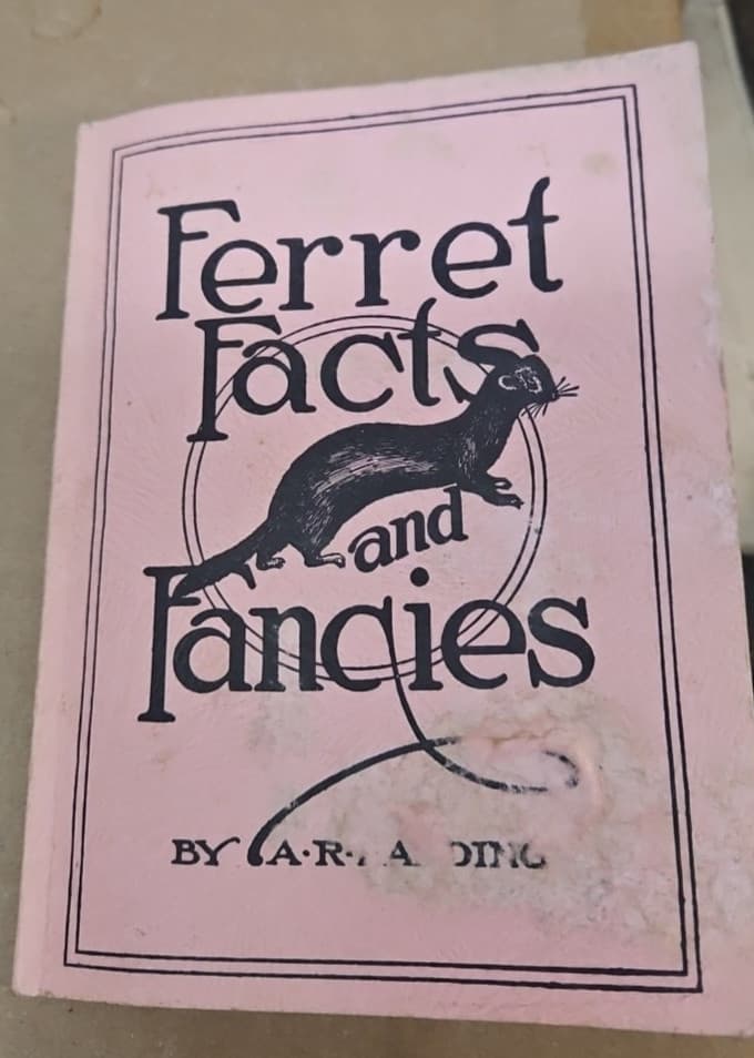 Ferret Facts And Fancies A. R. Harding 1943 Raising Handling Selling