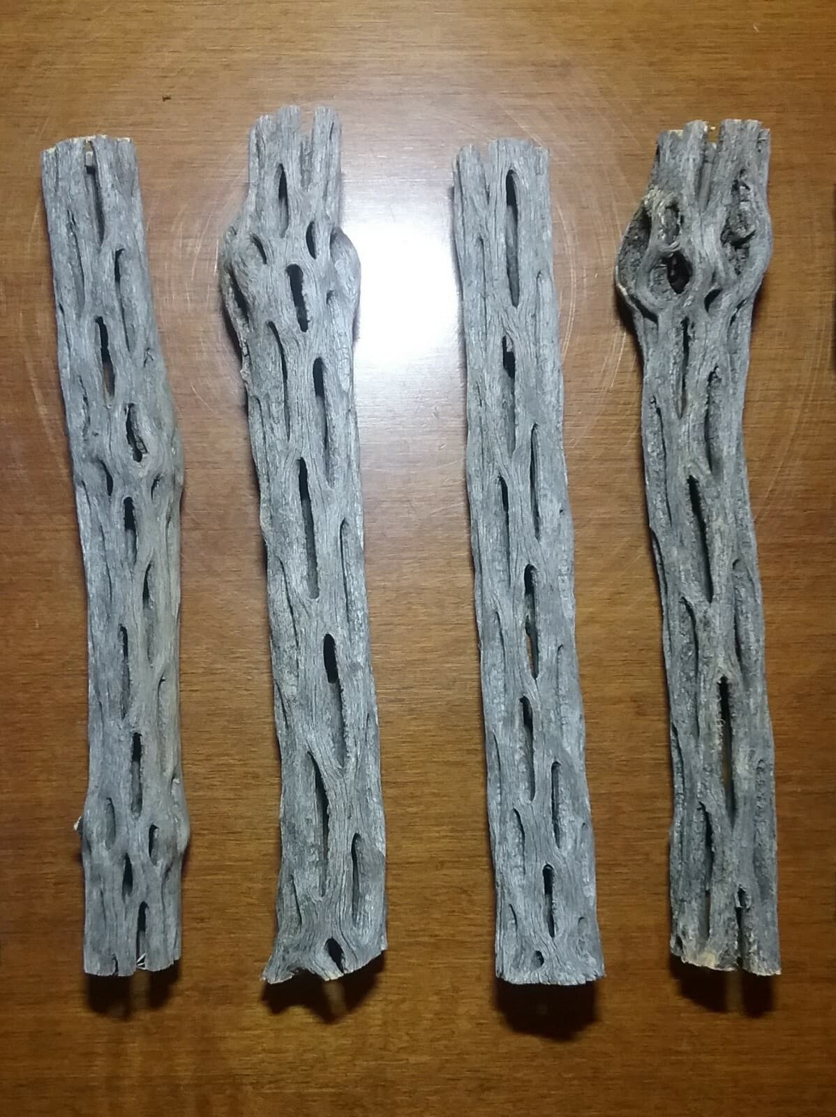 4 pieces 6" inch CHOLLA Wood Cactus | Organic, Untreated | Shrimp, Fish Aquarium 2