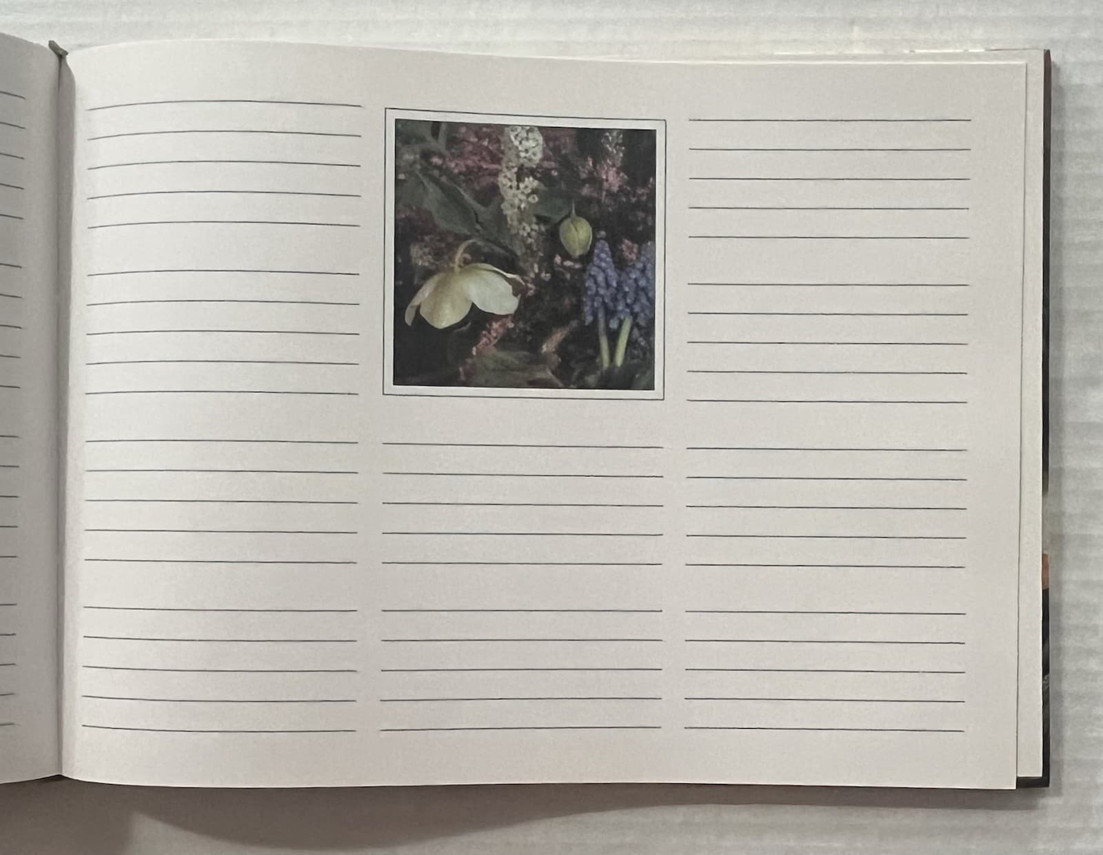 Marcel Shurman Guest Book Lovi Collection Hardcover 2014 Unused 5