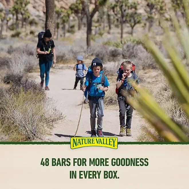 Nature Valley Chewy Fruit and Nut Trail Mix Bars 1.2 oz. 48 Bags/Pack (GEM19696) 6