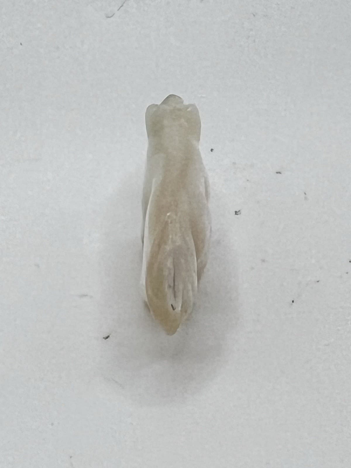 Zuni white golden Wolf Fetish Andres Quandelacey, MOP Turquoise heartline Mm1 4