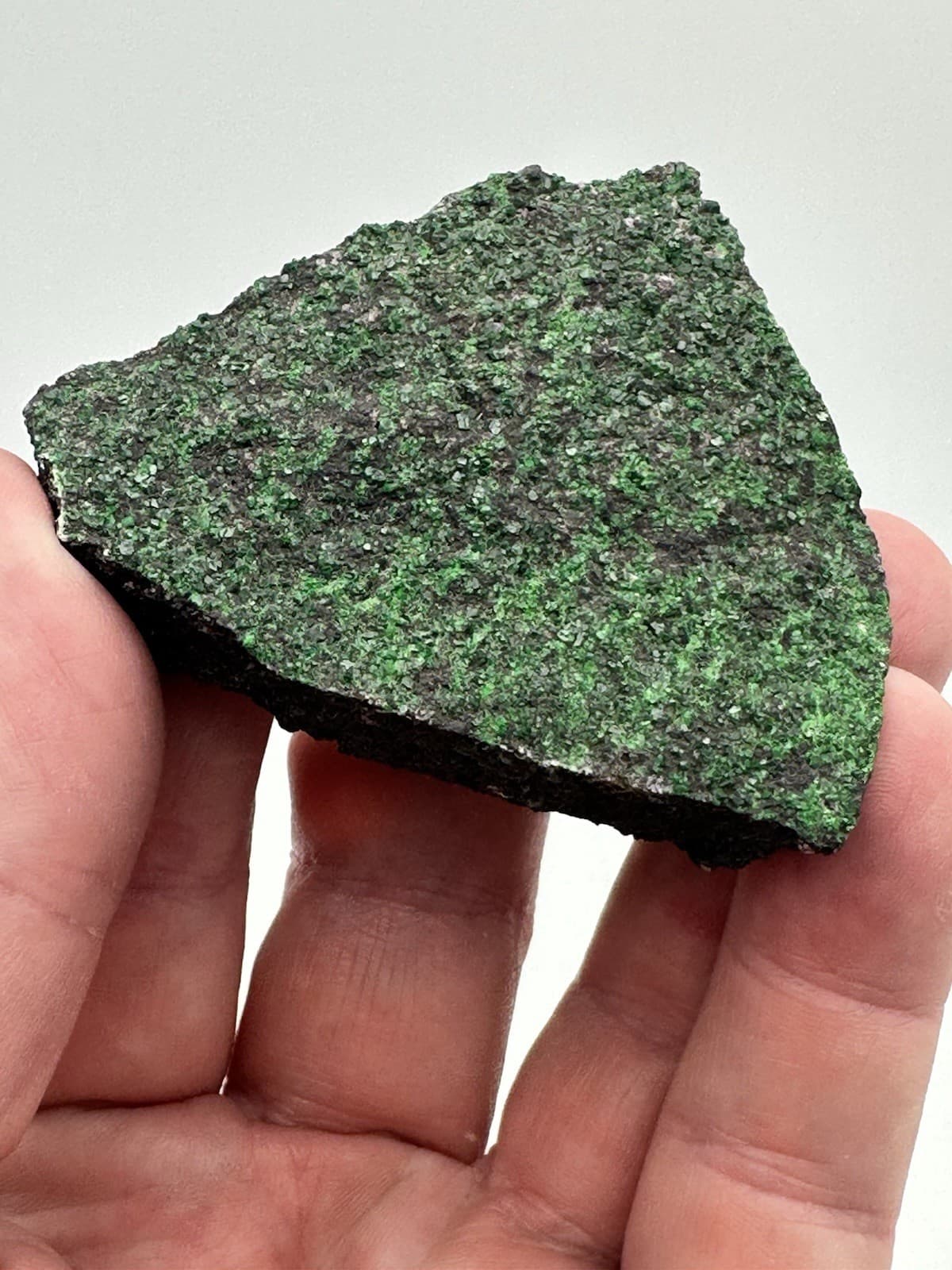 111g 2.5x2.5 RARE Green Uvarovite Garnet Crystals on Matrix Mineral Specimen 6