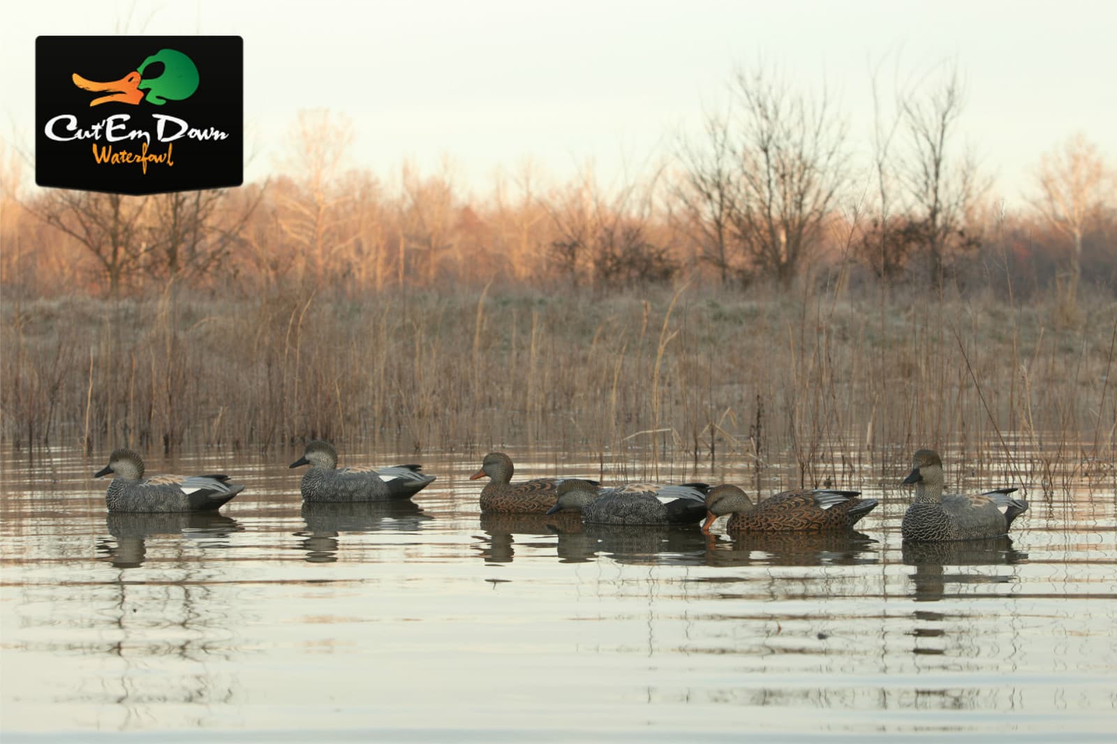 NEW AVERY GREENHEAD GEAR GHG PRO GRADE PG LS GADWALL FLOATER DUCK DECOYS 6 4