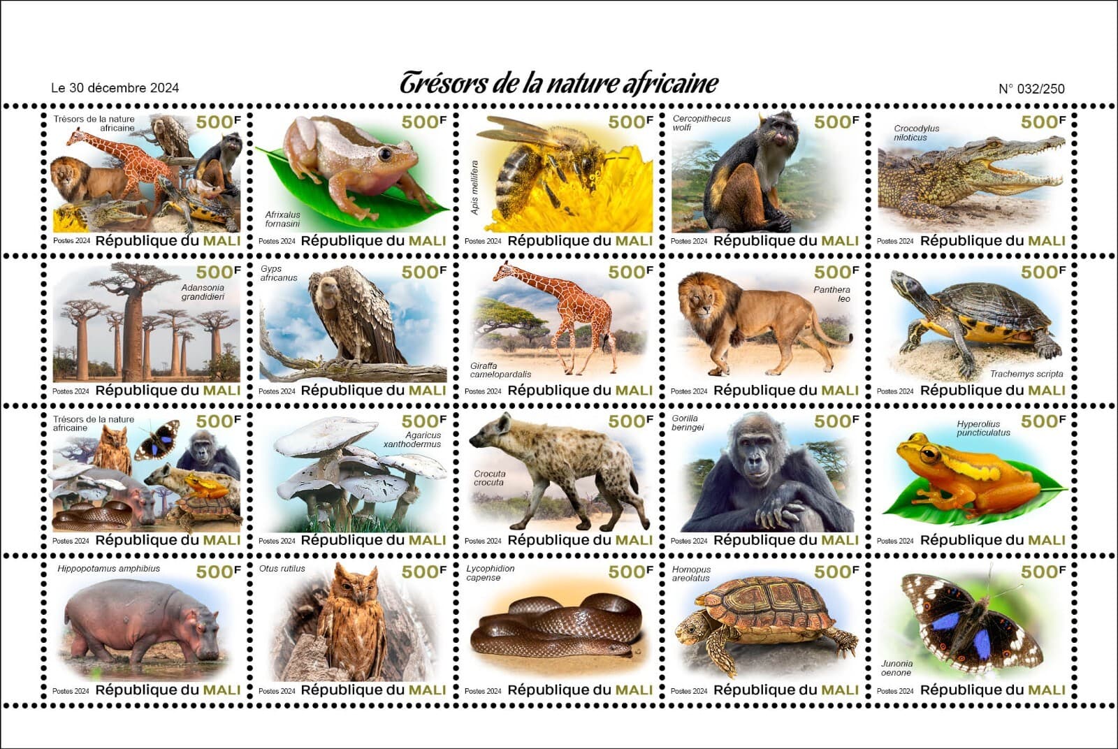 MALI 2024 SH20V 500F BAOBAB FROG MONKEY GIRAFFE TURTLE MUSHROOM OWL BUTTERFLY