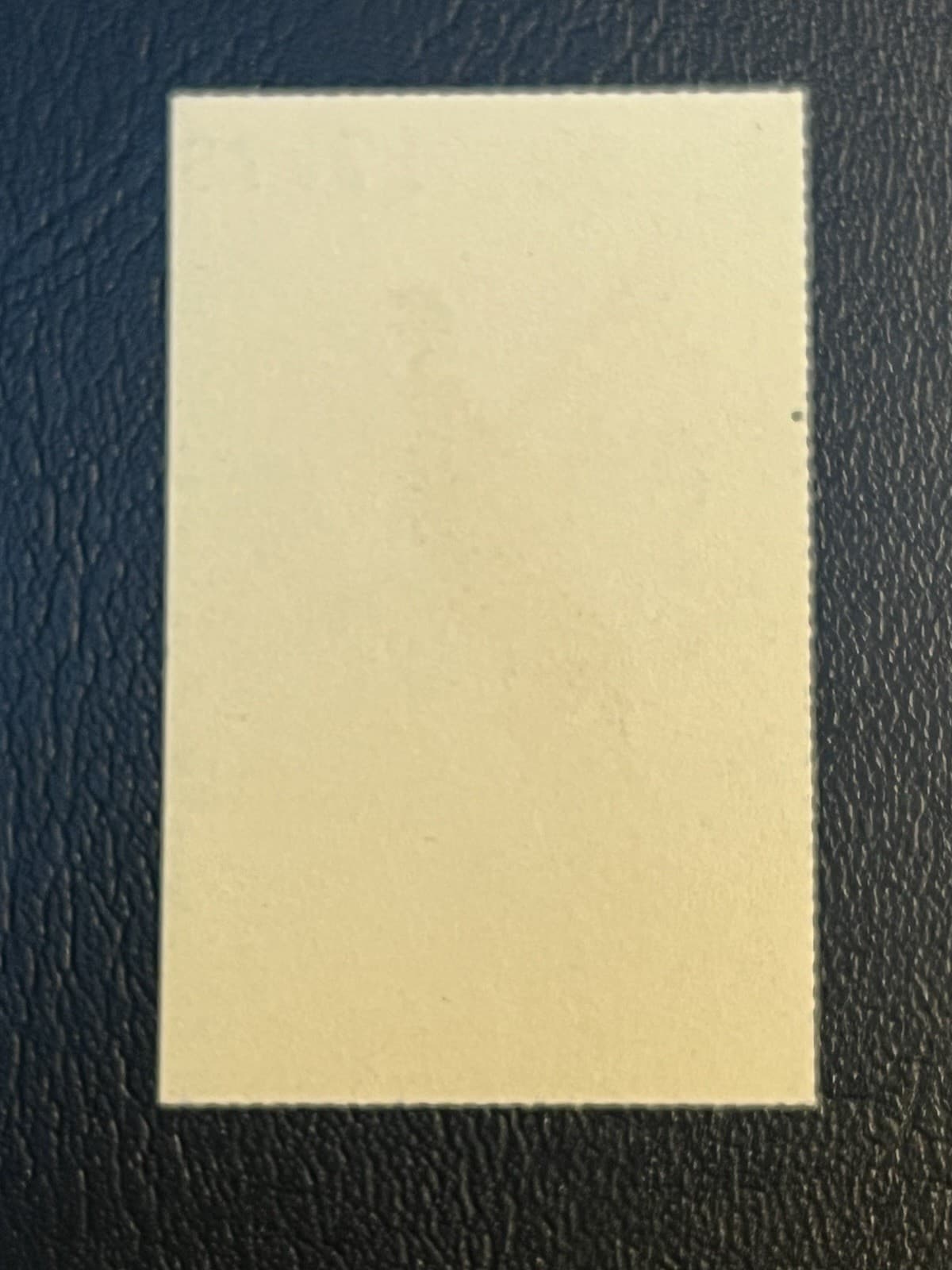 1975 NEW HAMPSHIRE PHEASANT  STAMP MNH 2