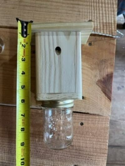 Best Carpenter Bee Trap - Patented Carpenter Bee Trap - Set of 6  Free Shipping 4