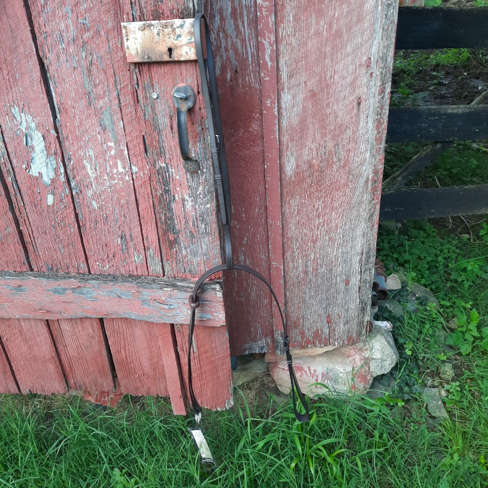 NWT HORSEWARE Amigo PONY Brown Leather Running Martingale  4