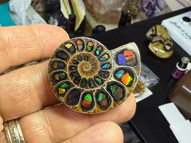 SPECTACULAR RARE,AMMOLITE(CANADA) INLAY IN FOSSIL AMMONITE(MADAGASCAR)SEE VIDEO! 4