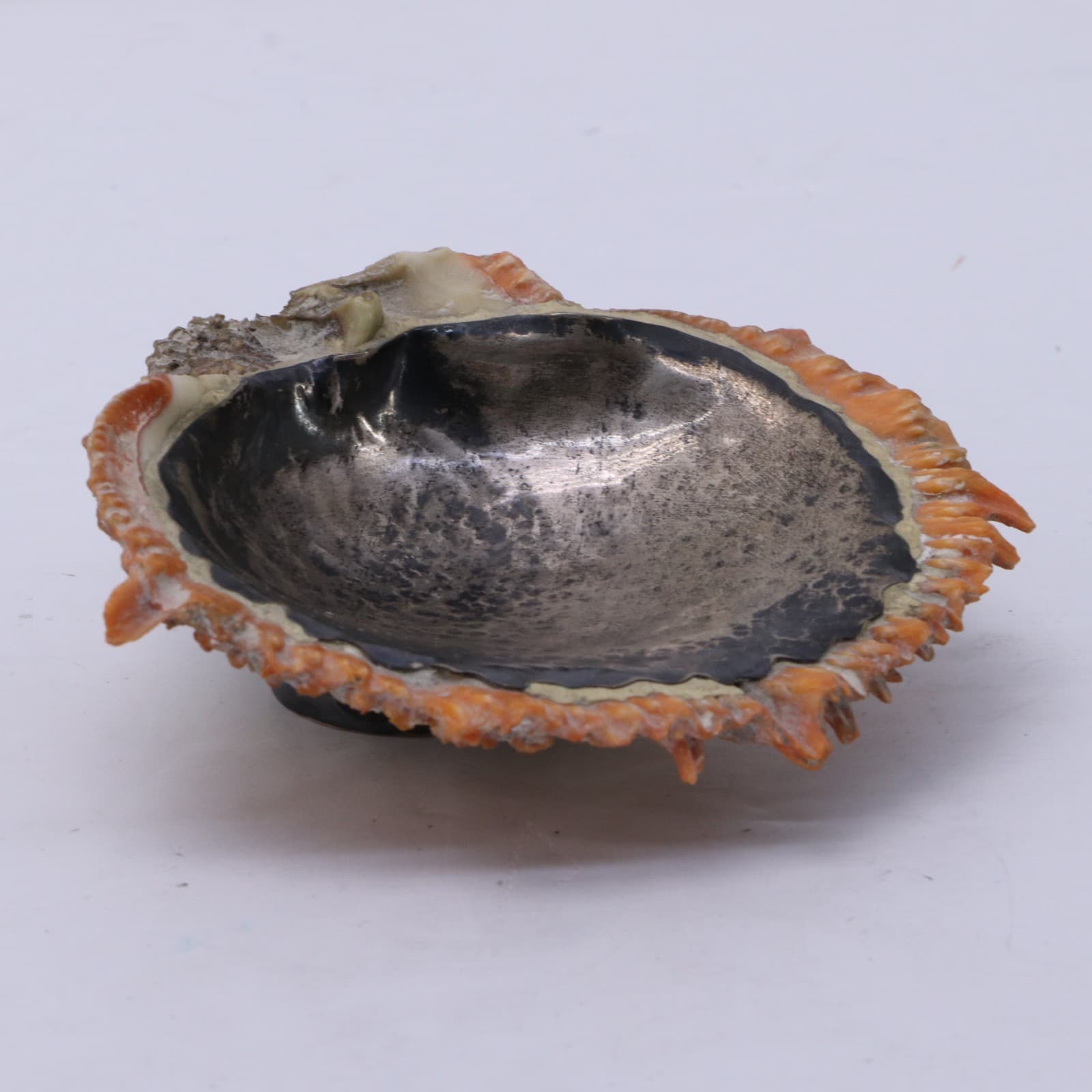 Graziella Laffi 925 Peru Red Spiney Oyster Shell with Sterling Silver Lining 6