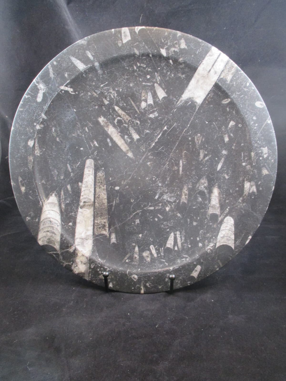 Hand Carved 11 " Fossil Plate w Orthoceras  Fossil 400 Mil Yrs. 2 Lb 9 Oz