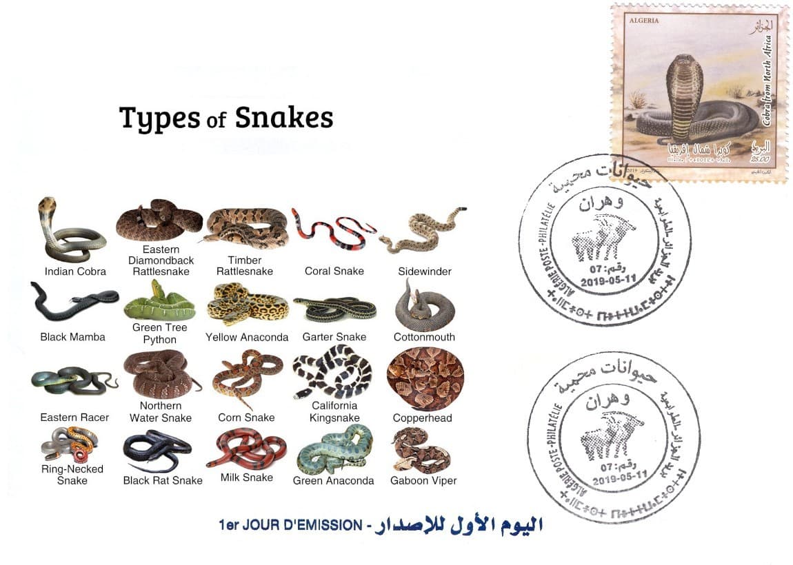 2019 FDC Type of snakes Fauna Wildlife Reptiles Amphibians Snake Snakes