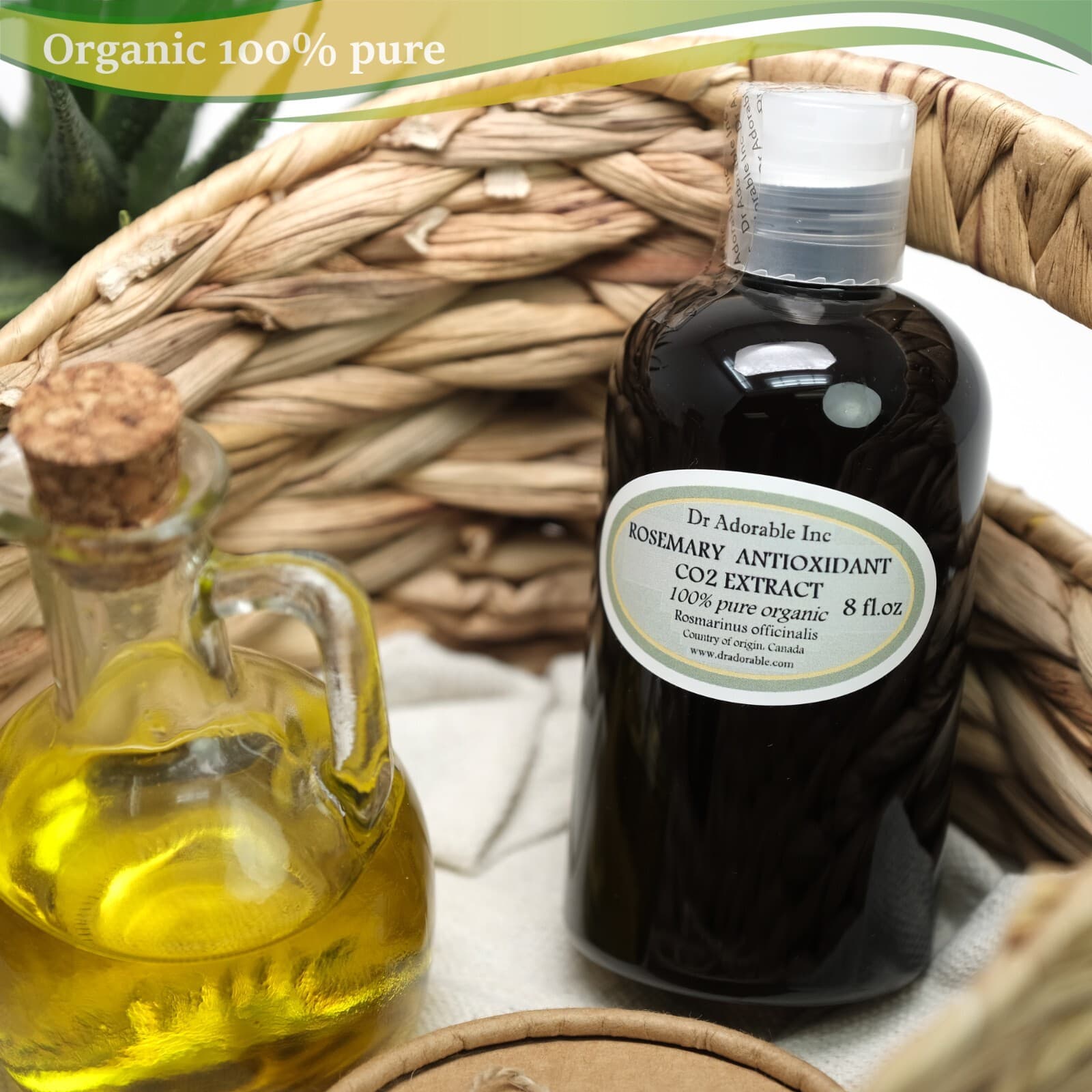 Premium Rosemary Antioxidant Co2 Extract Organic Pure Cosmetics 2