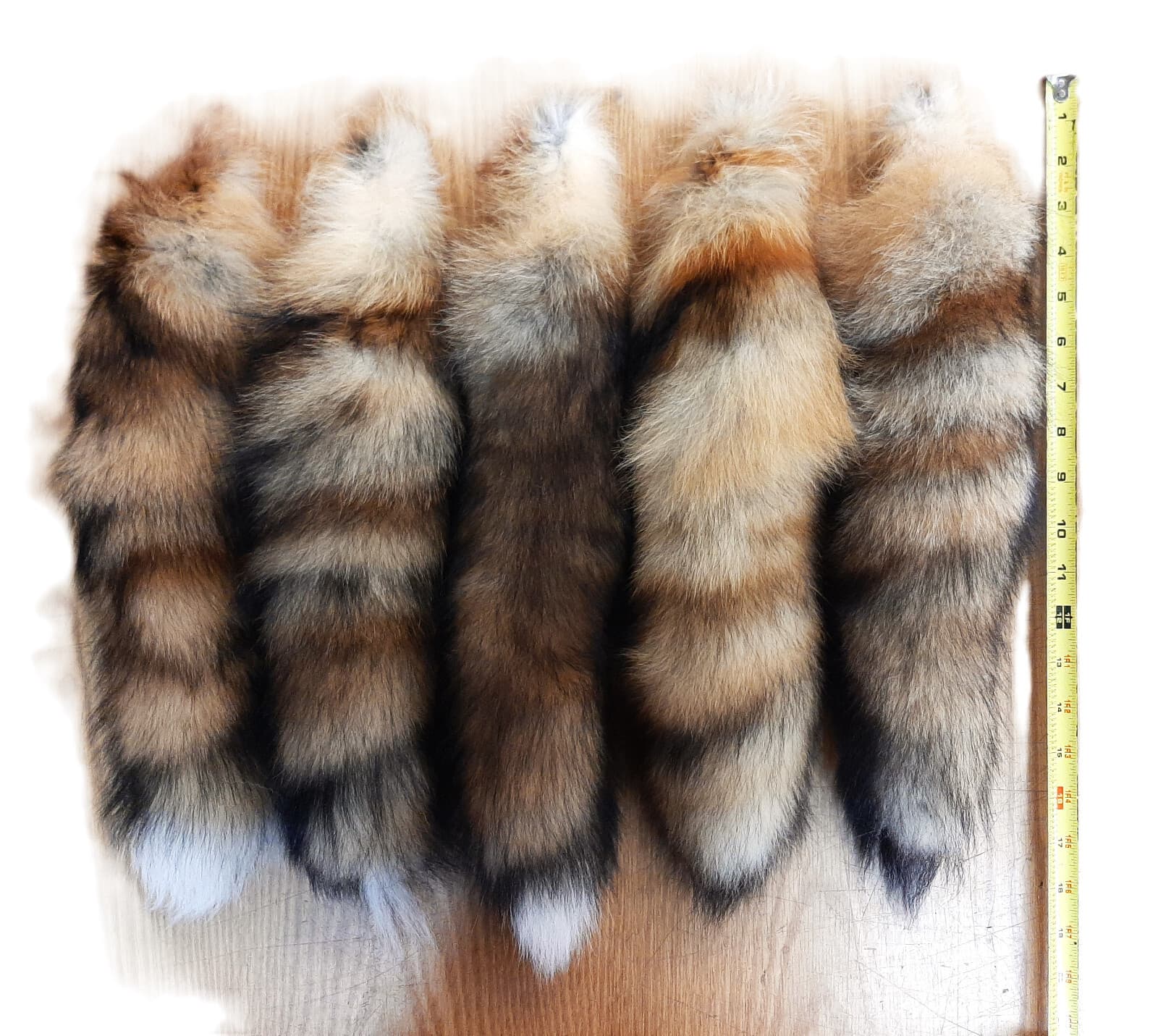 Red Fox Tail, 13-17" Tanned 3