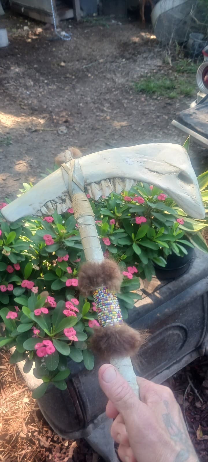 **AWESOME OLDER  NATIVE AMERICAN BISON JAWBONE TOMAHAWK  FRINGE VERY NICE ! ** 2