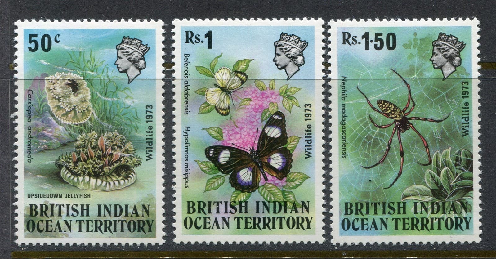 BIOT #54-56 Insects Complete Set [Mint Never Hinged]