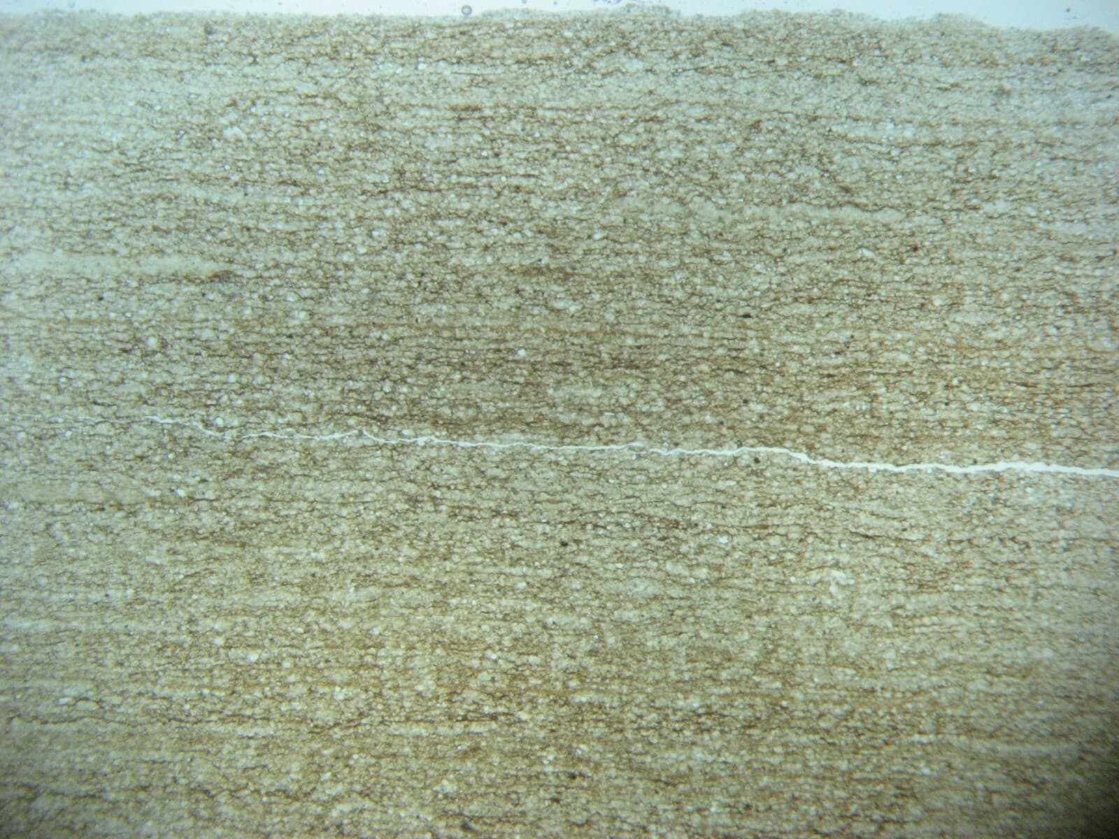 Geological Formation 25 Thin Section Slides Precambrian to Miocene Fossils Rocks 6