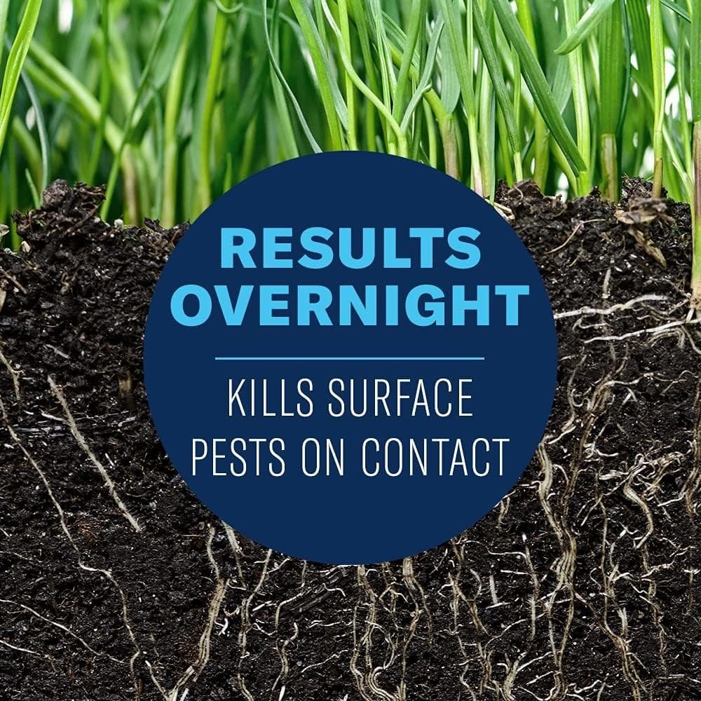 BioAdvanced Grub & Insect Killer Granules, 24-Hour Action, 10 lb Bag 3