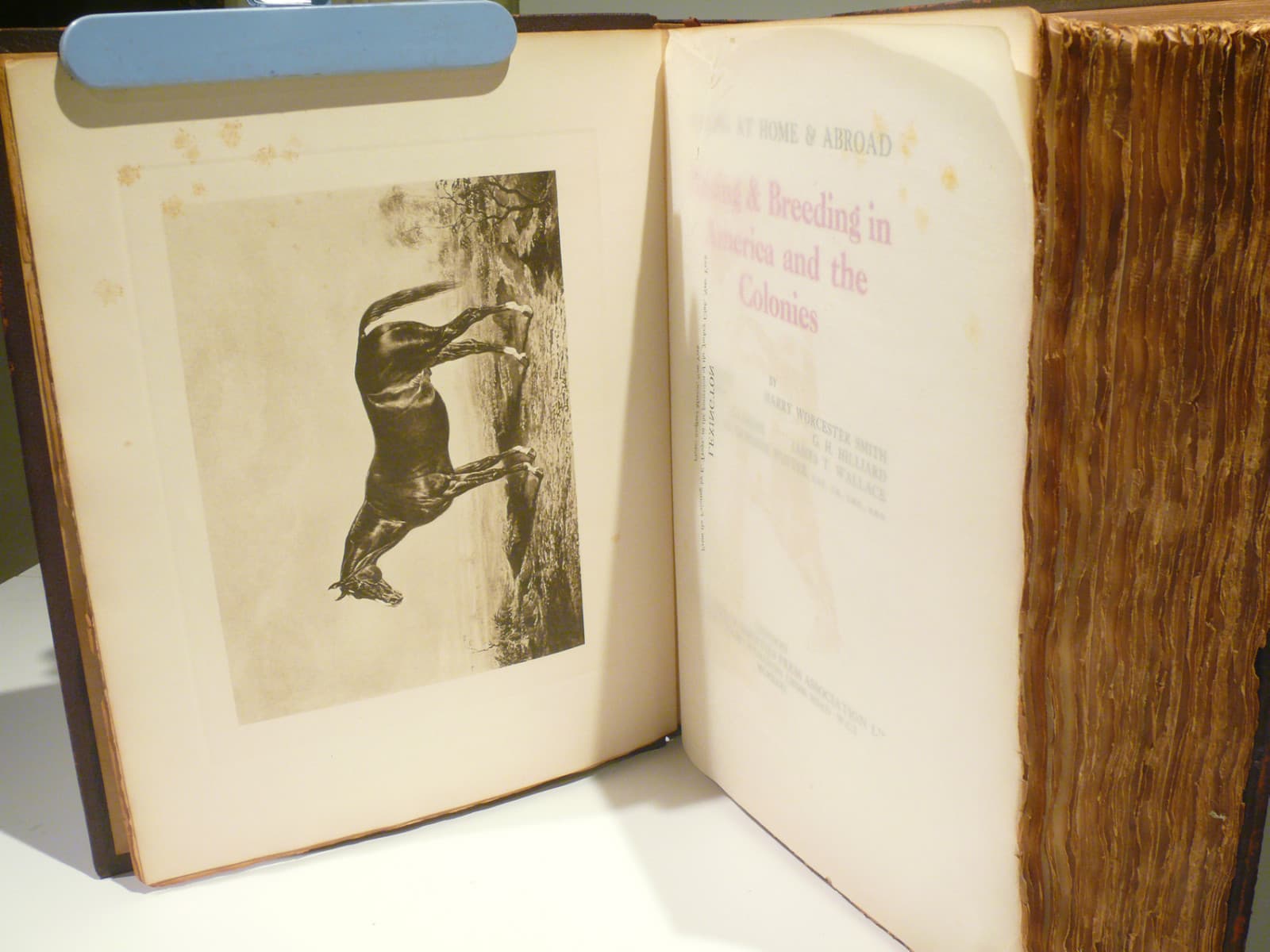 Horses: Racing & Breeding in America and the Colonies #458 1931, EQUESTRIAN BOOK 5