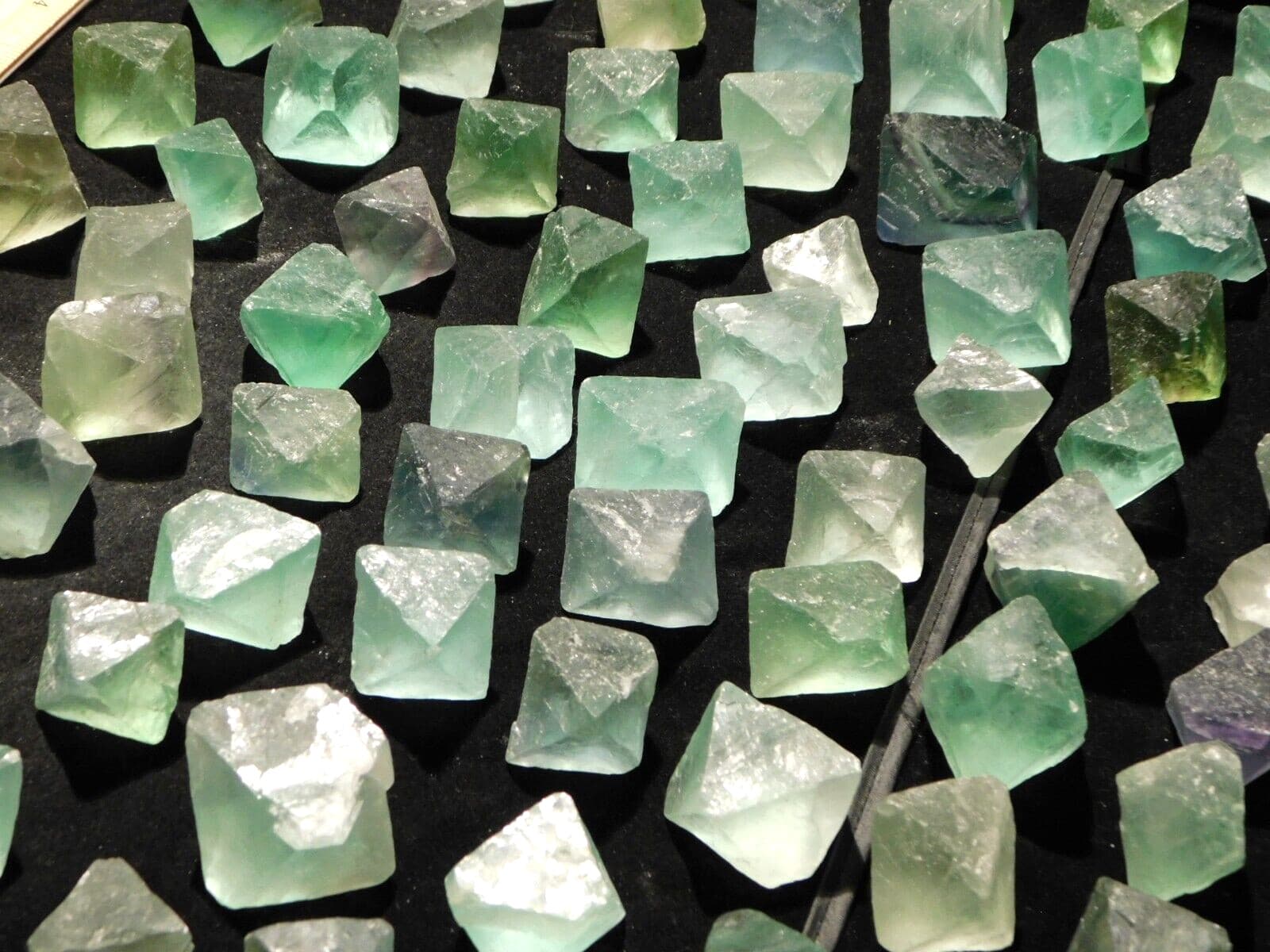 One Kilo or 2.2 Pounds! of 100% Natural Fluorescent FLUORITE Octahedron Crystals 2