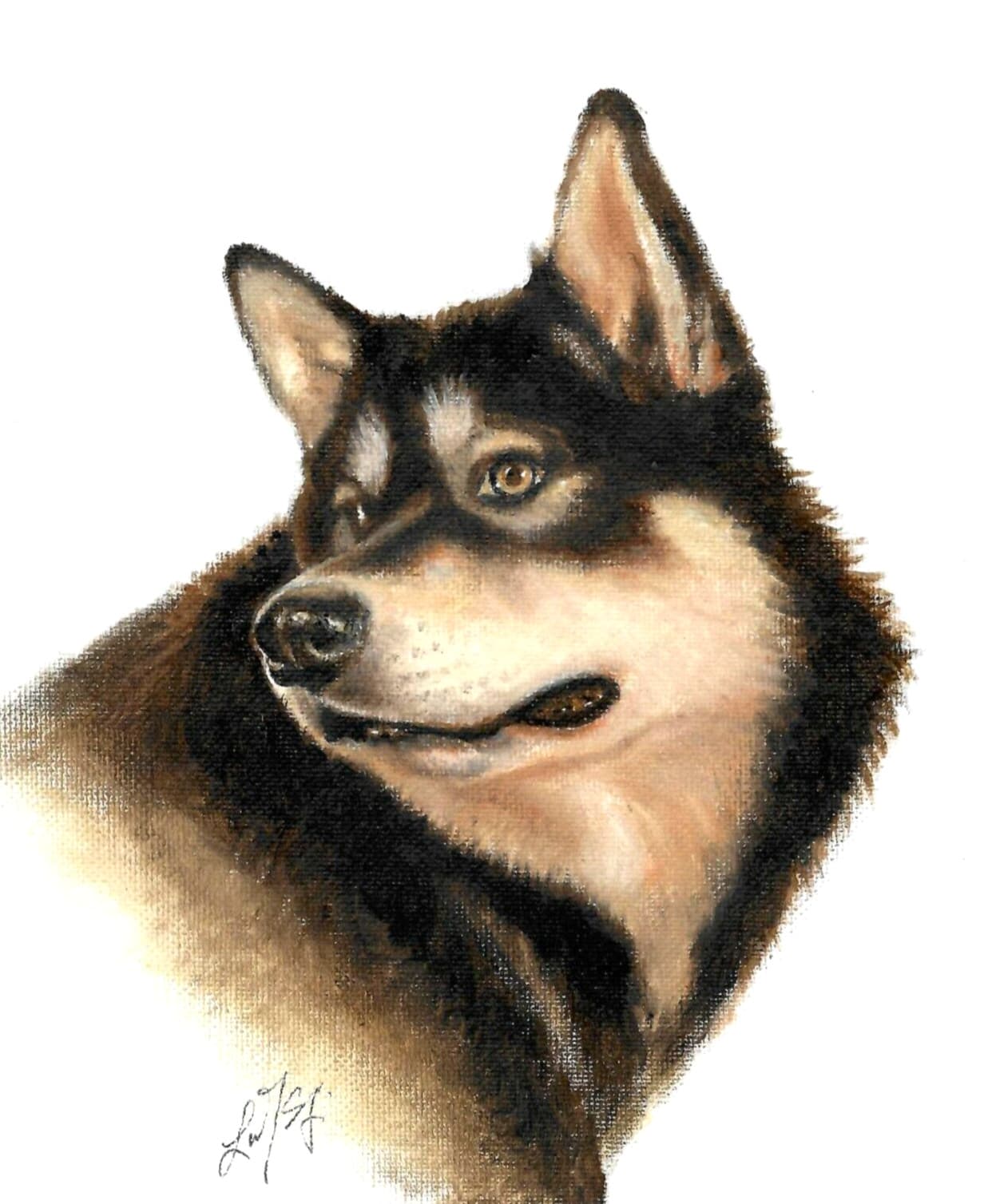 ✤ ORIGINAL Oil Dog Portrait Painting ALASKAN MALAMUTE Artist Signed Art 8x10