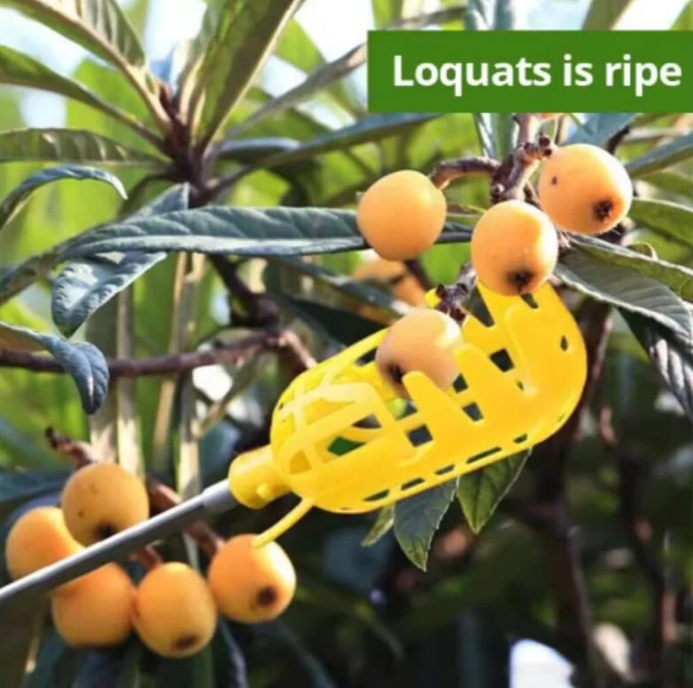 1pc Farm Garden Fruit Picker Head Deep Basket Apple Peach Harvest Tool - NEW 5