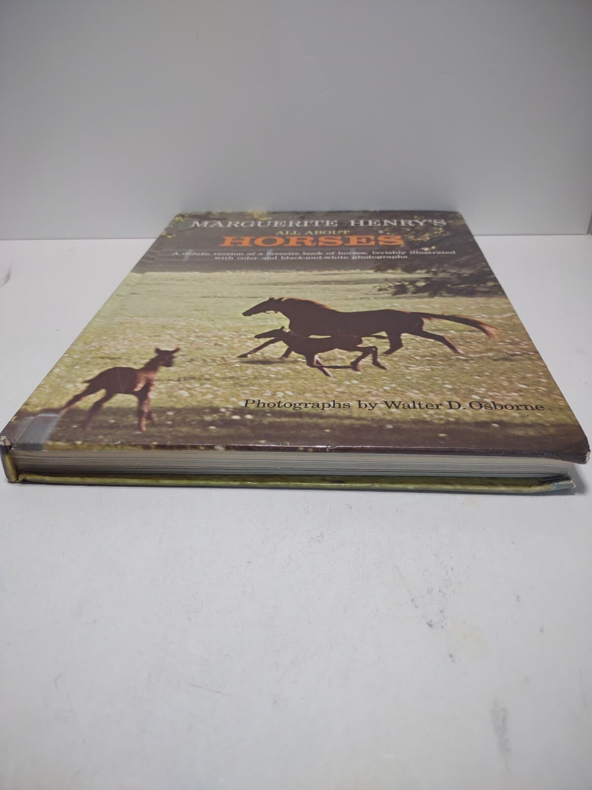All About Horses Marguerite Henry HC Book 1967 Breeds Riding Warm Cold Bloods  5