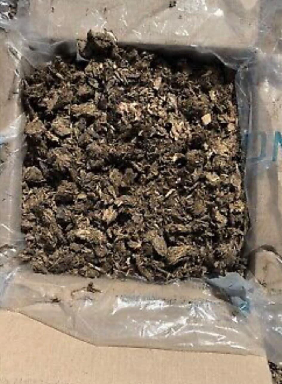 LARGE BOX (10 lbs) Dried Shredded Horse Manure Fertilizer Poop Sun Pasture Cured 6