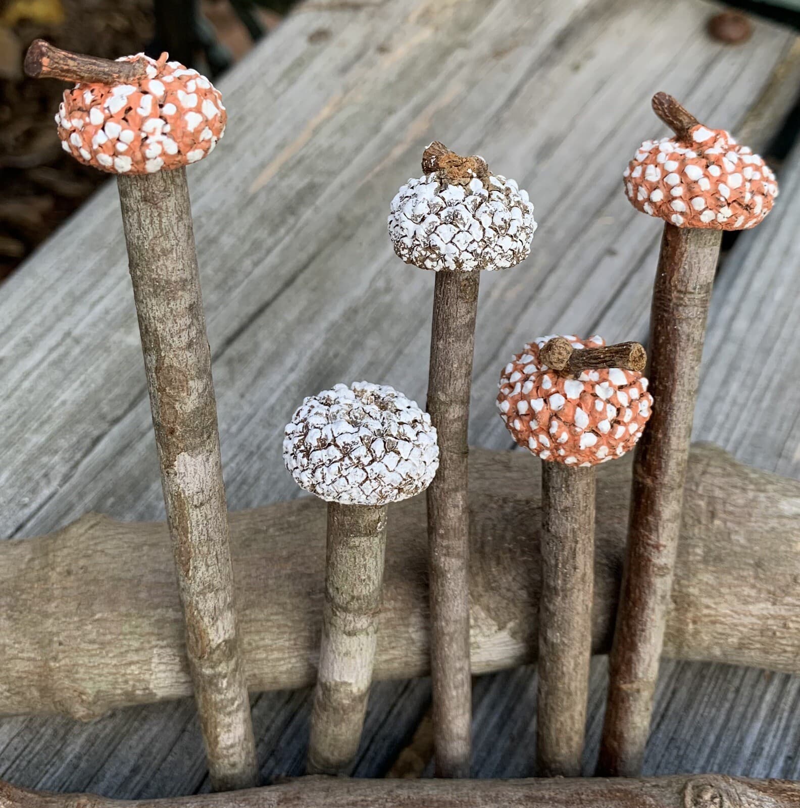 Whimsical Wood & Acorn Cap Mushroom Plant Picks Fairy Garden House Plants Decor