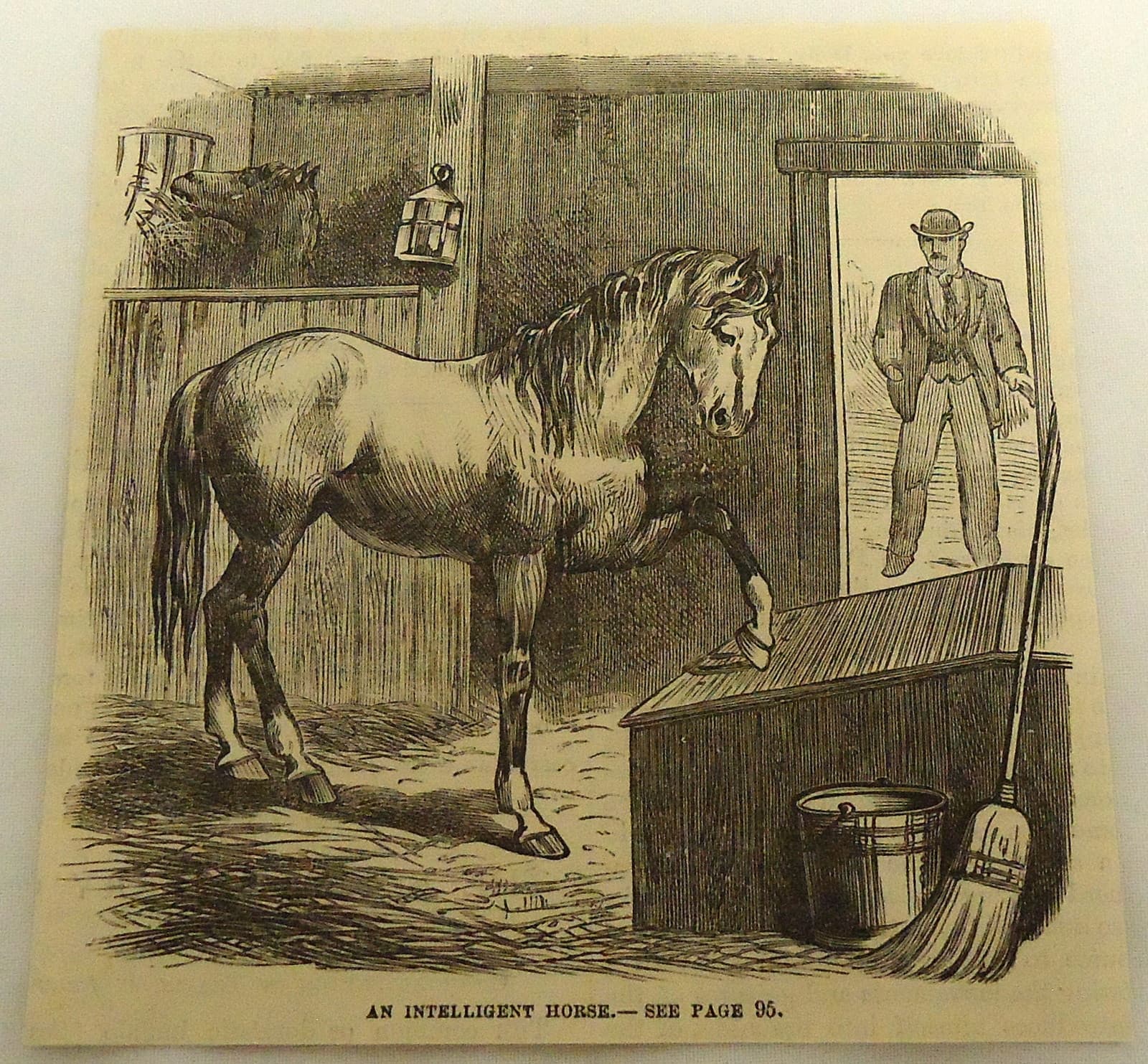 1878 magazine engraving ~ AN INTELLIGENT HORSE