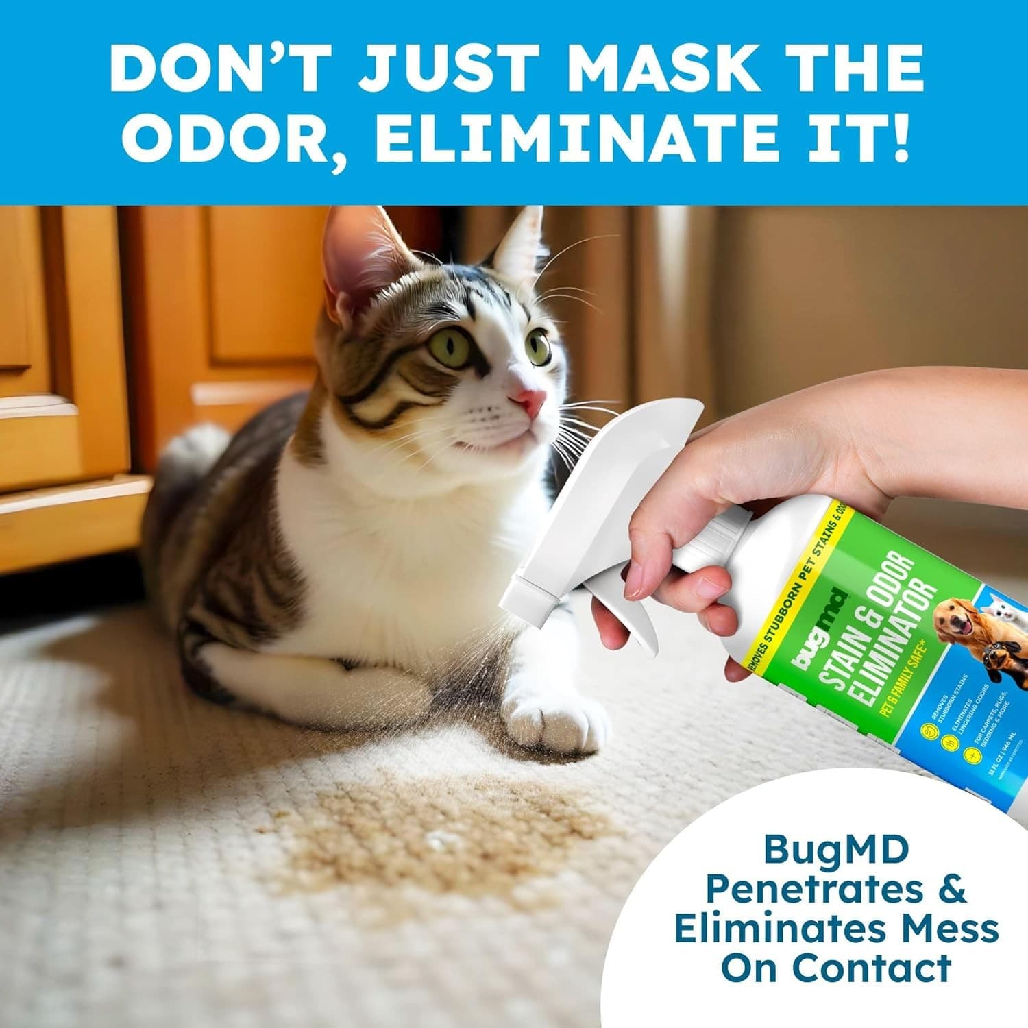 BugMD Enzyme Cleaner & Odor Eliminator for Strong (32oz) - Pet Stain...  5