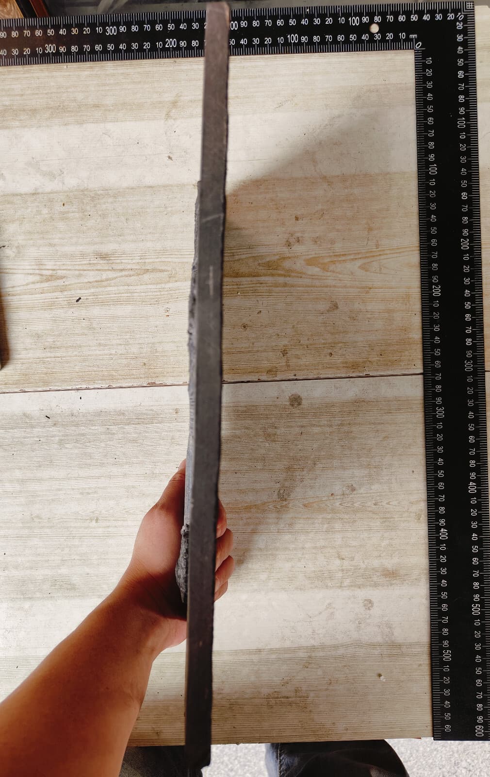 Natural Devonian prehistoric Jurassic biota crinoids Fossils 4