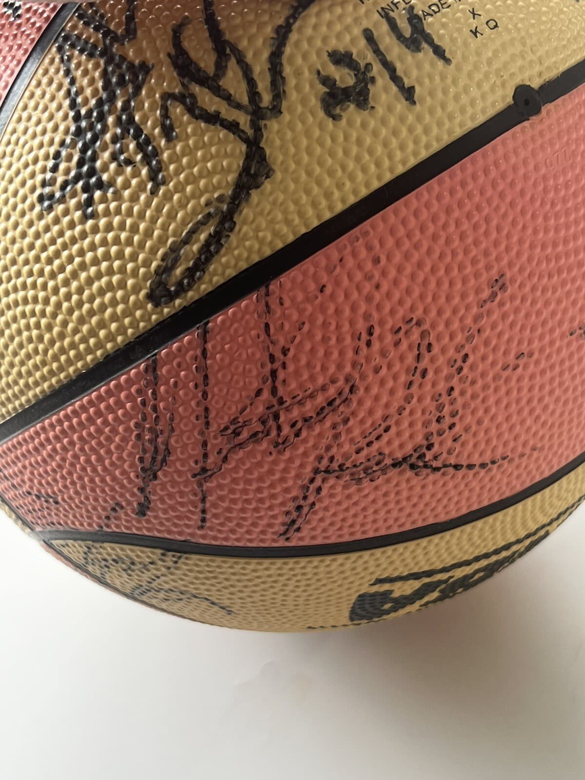 WNBA Basketball Signed Autographed Basketball - 15 Autographs - Sears Spalding 6