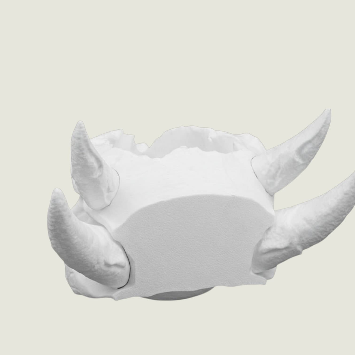 Dragon Skull Planter White Gothic Fantasy Decor Succulent Plant Holder Plastic 3