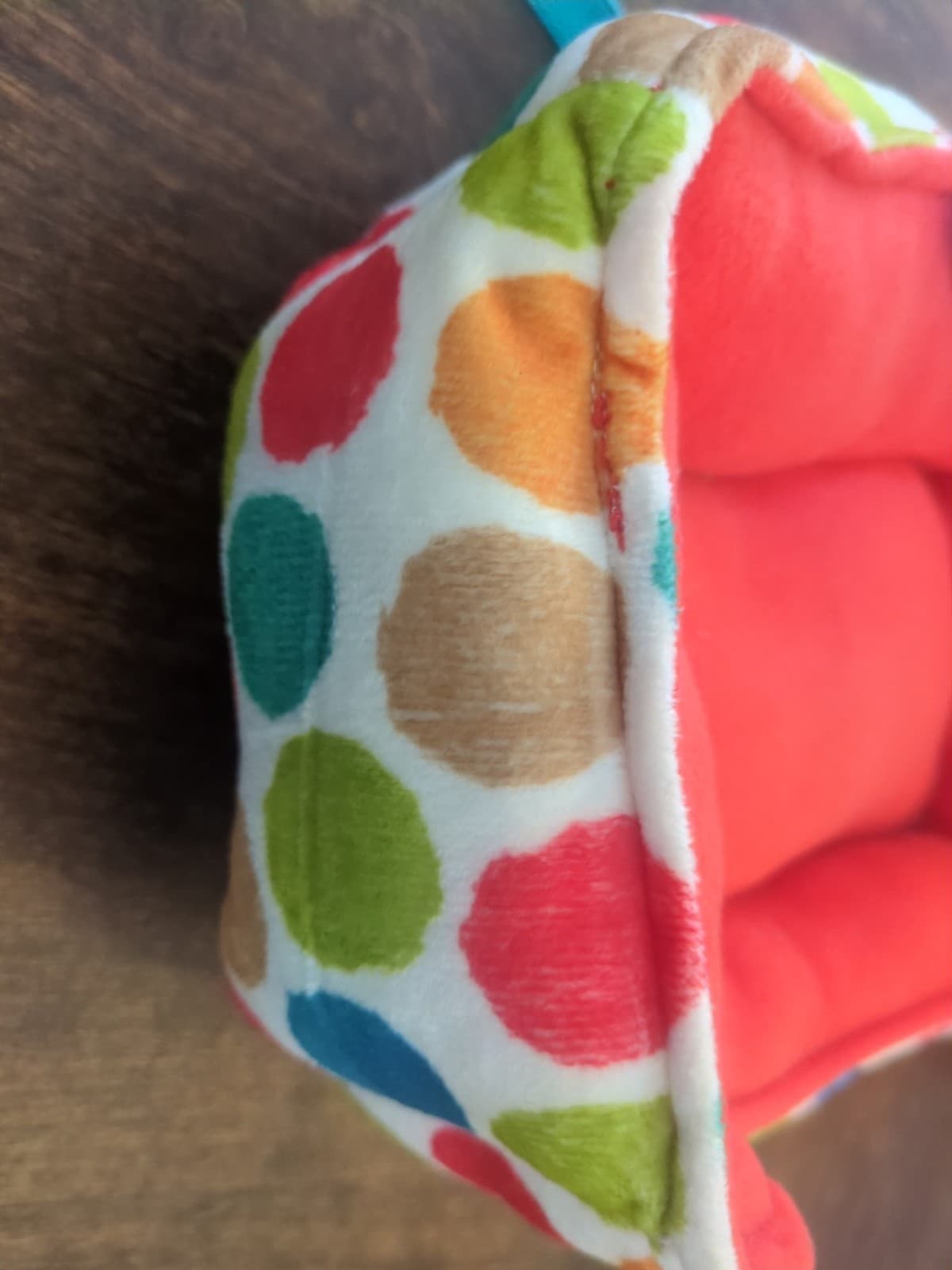 All Living Things Small Polka Dot Cuddler Bed For Ferrets & Guinea Pigs Fleece 4