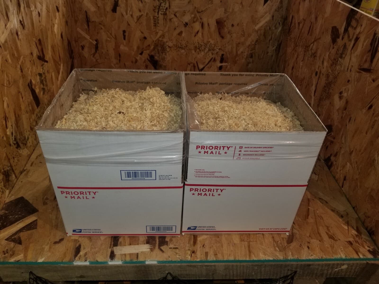 Dry Pine Shavings for pet bedding!!! 10 lbs 3