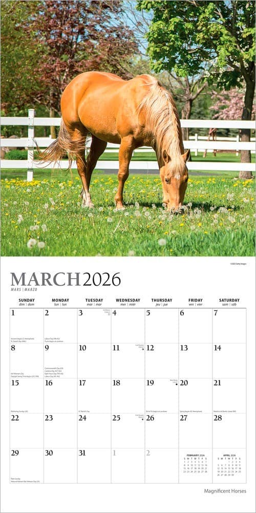Magnificent Horses | 2026 12x24" (Hanging) Monthly Square Wall Calendar 3