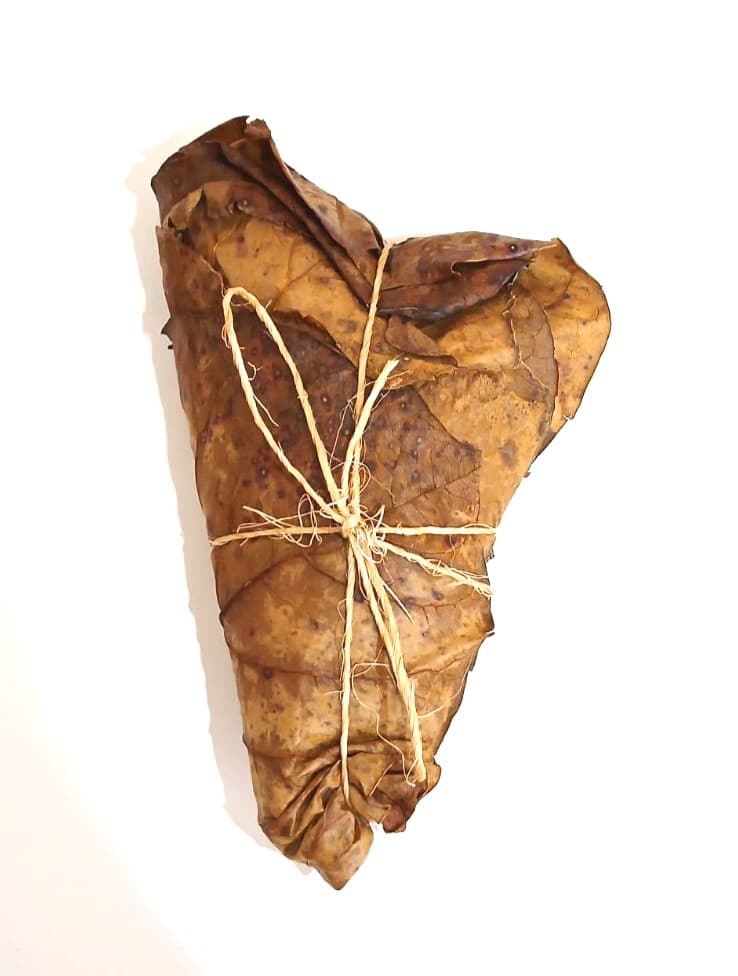 Cattapa Indian Almond Leaves from Caribbean 40 dry leaves 2