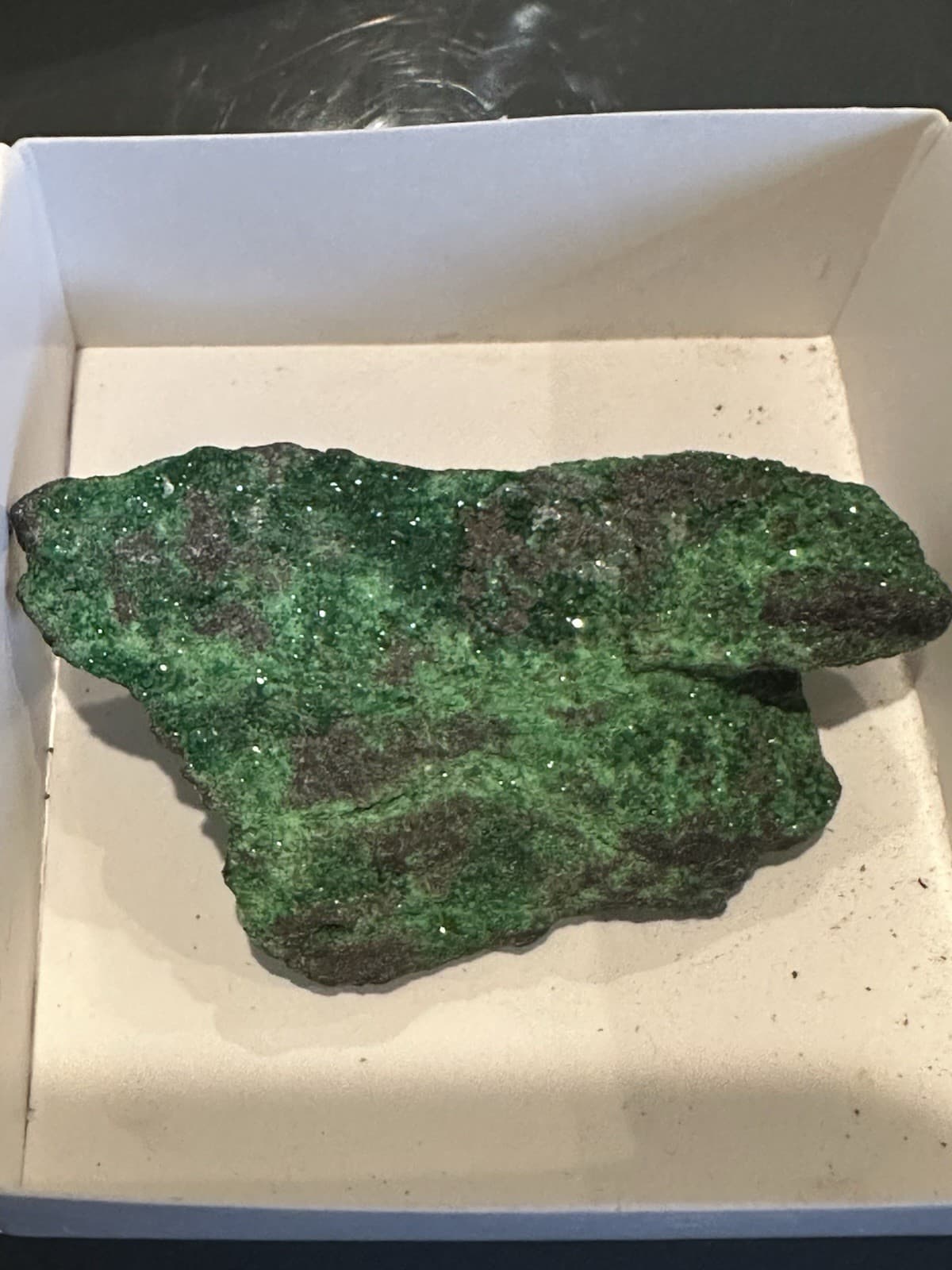 30g 2.5x1" RARE Green Uvarovite Garnet Crystals on Matrix Mineral Specimen