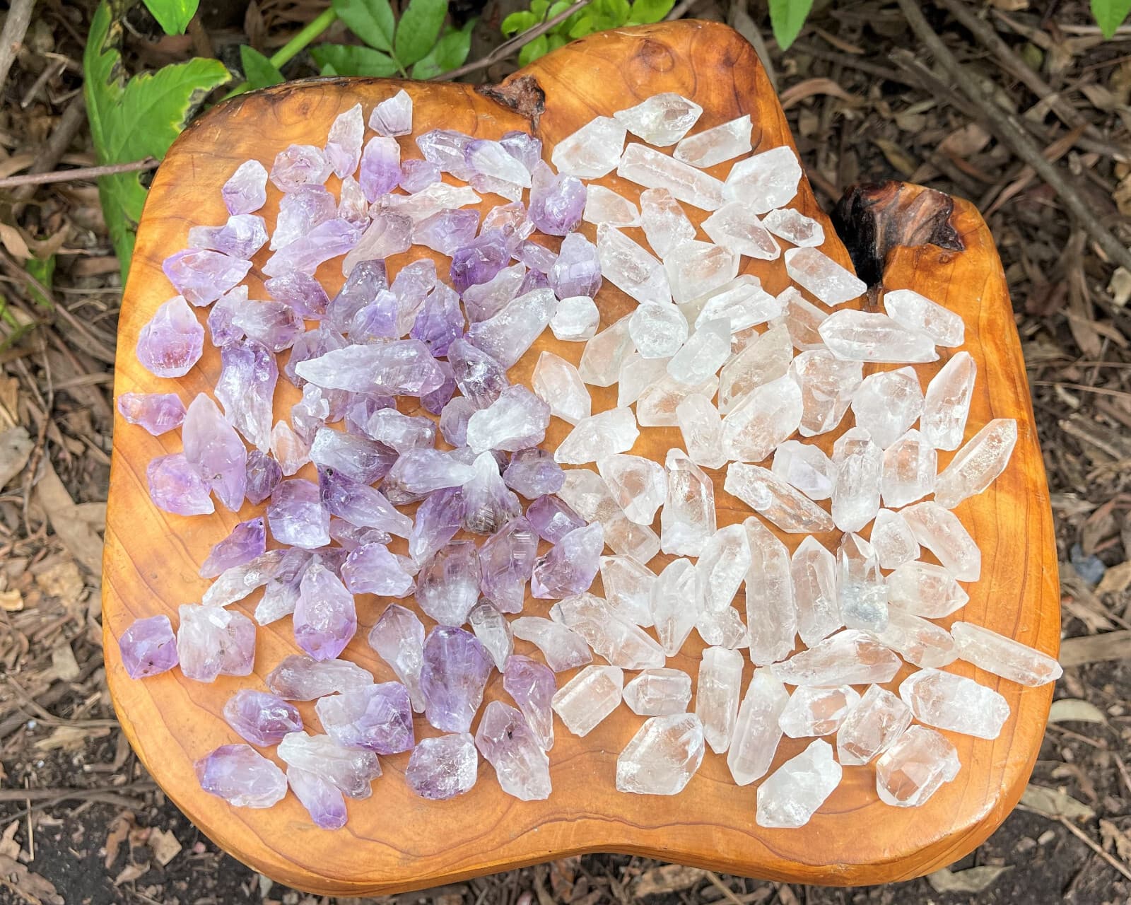 1/2 lb Bulk Amethyst & Quartz Crystal Collection in Box, Natural Clear Points  4