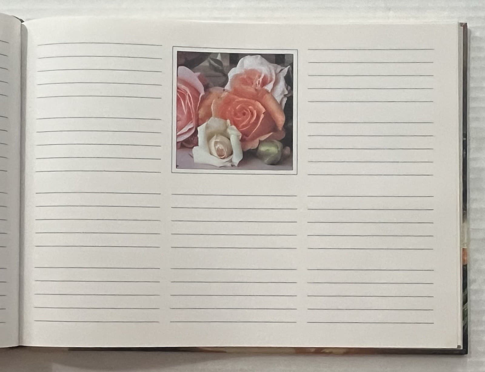 Marcel Shurman Guest Book Lovi Collection Hardcover 2014 Unused 6