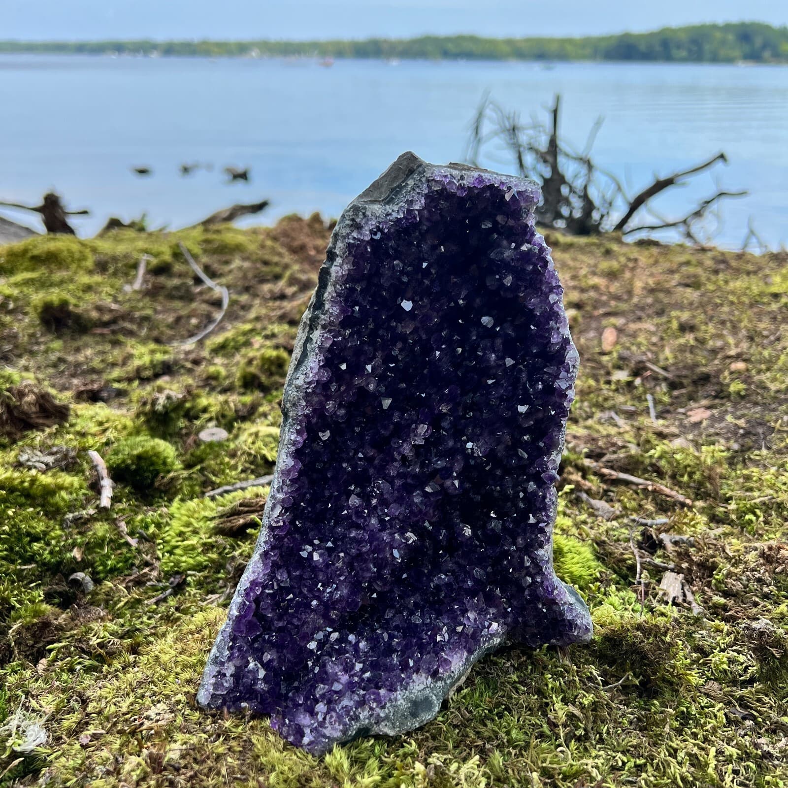 HUGE XXXL LARGE Amethyst Druze Crystal Cluster w/ Cut Base Specimen ~ 3.5-5.5 Lb 2