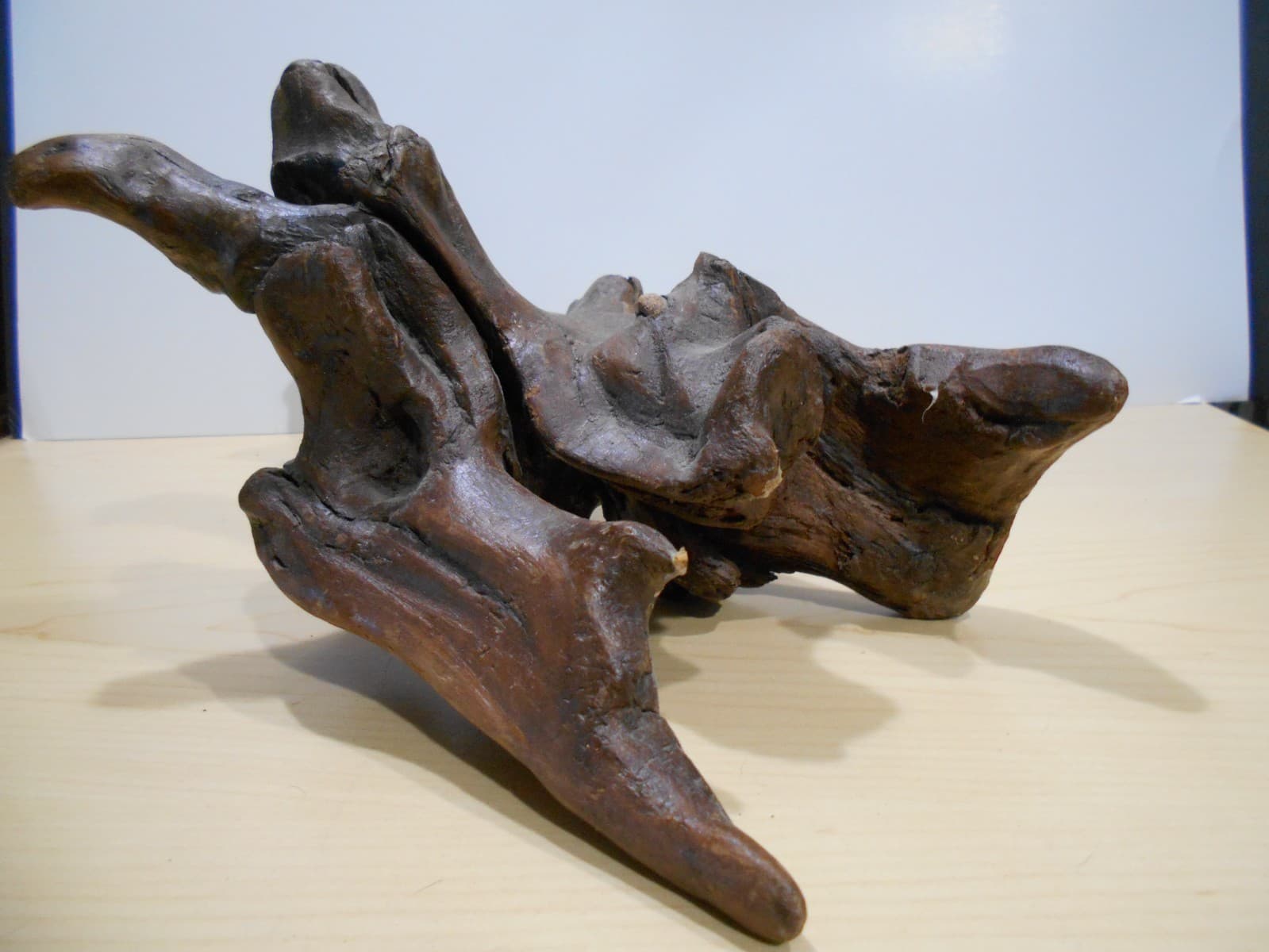 Driftwood Medium Aquarium Habitat Terrarium Orchid Mounting Planter Bonsai Wood 4